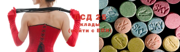 ПСИЛОЦИБИНОВЫЕ ГРИБЫ Нея