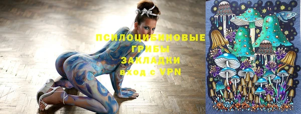 ПСИЛОЦИБИНОВЫЕ ГРИБЫ Нея