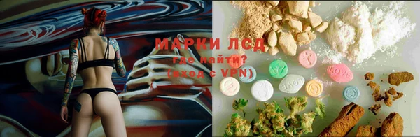ПСИЛОЦИБИНОВЫЕ ГРИБЫ Нея