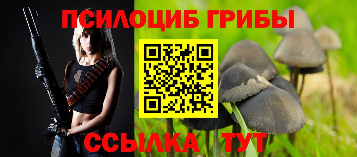 Галлюциногенные грибы Psilocybine cubensis  Вход с VPN  Североморск 